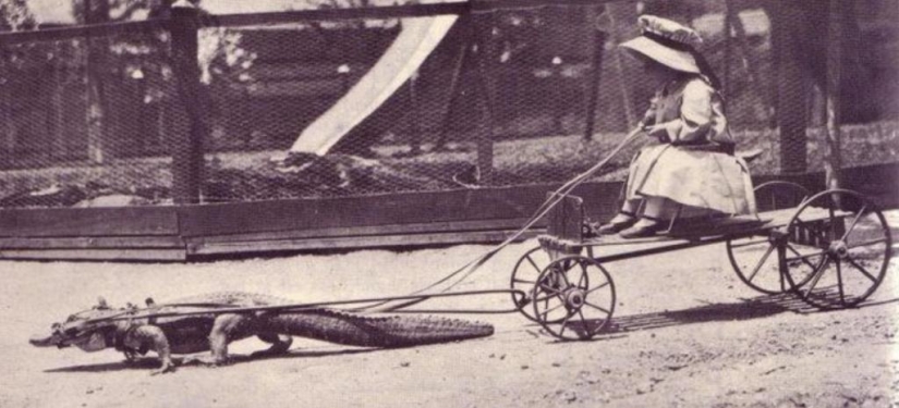 50 Amazing Historical Photos You&#39;ve Never Seen Before