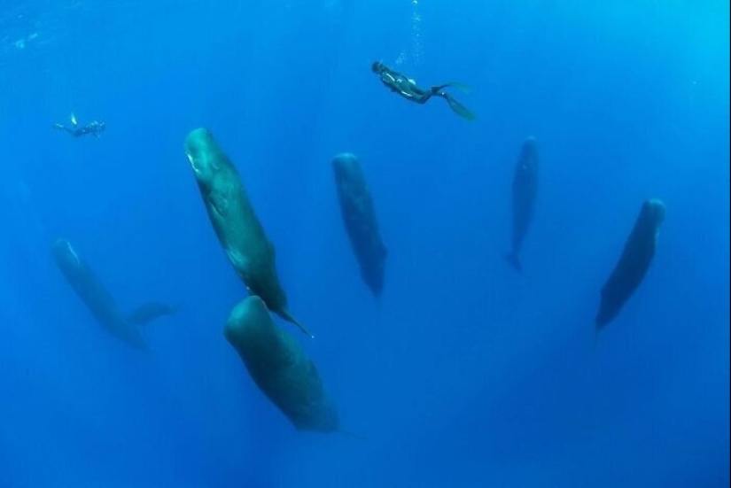 50 eerie examples of when Mother nature made numb from the horror