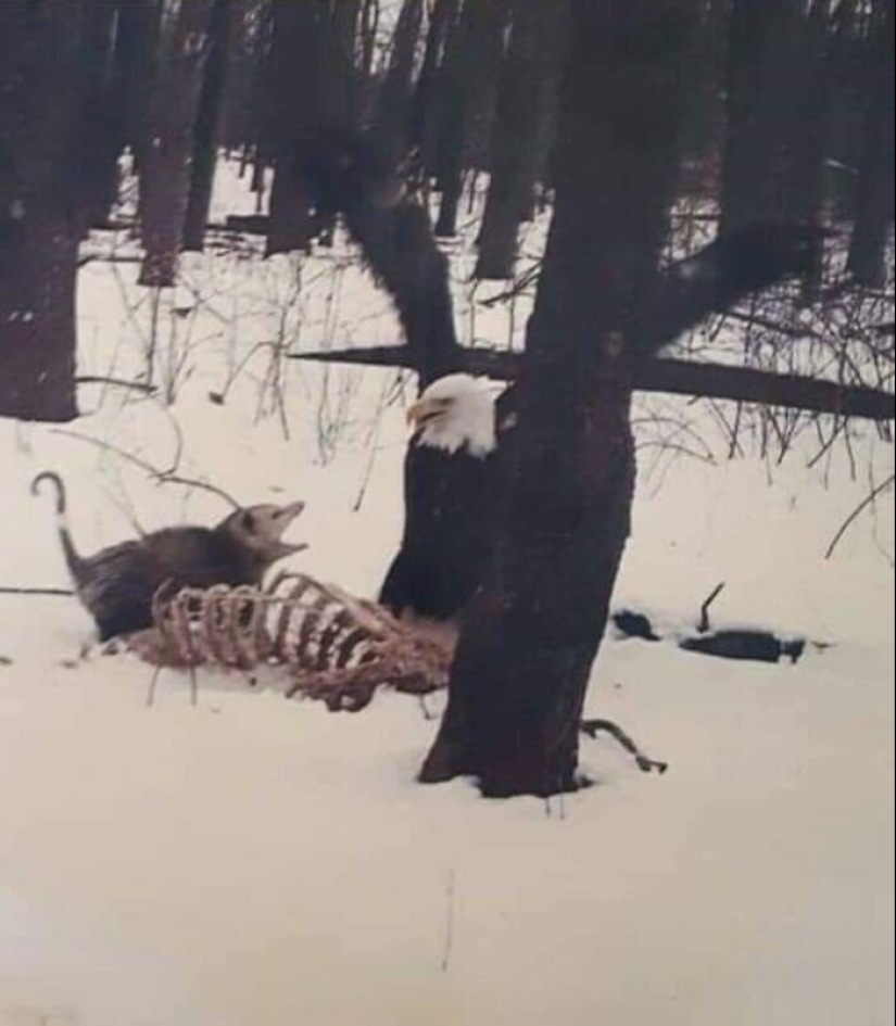 50 eerie examples of when Mother nature made numb from the horror