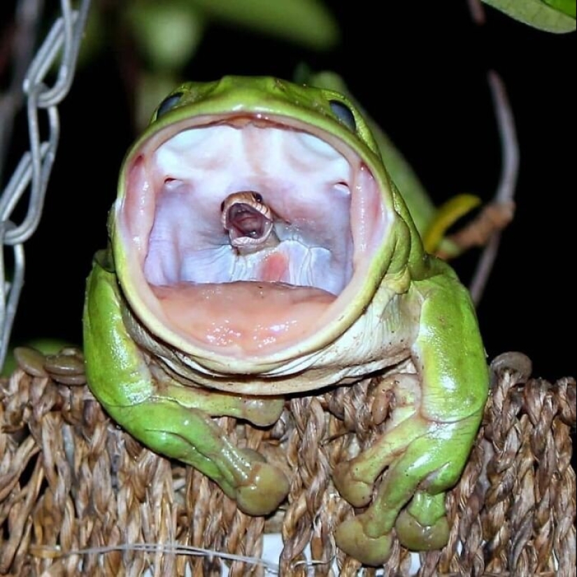 50 eerie examples of when Mother nature made numb from the horror