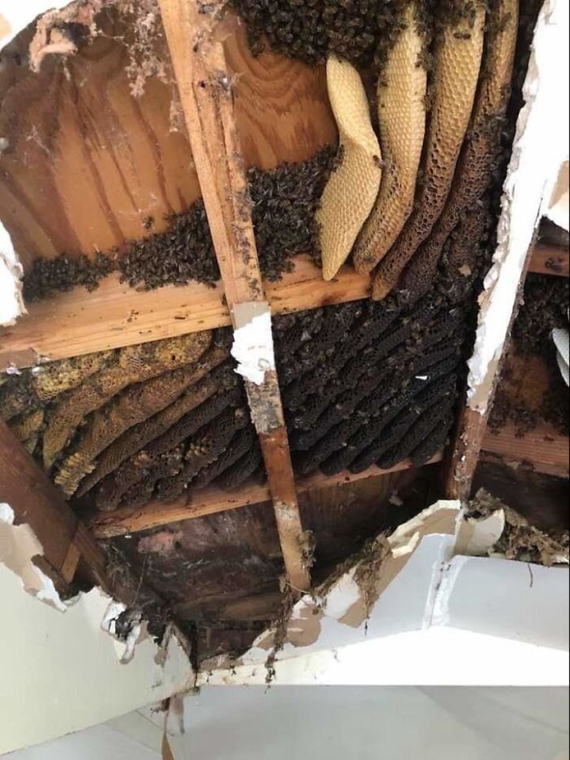 50 eerie examples of when Mother nature made numb from the horror