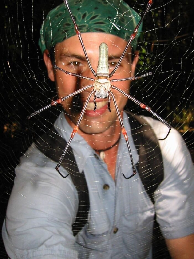 50 eerie examples of when Mother nature made numb from the horror