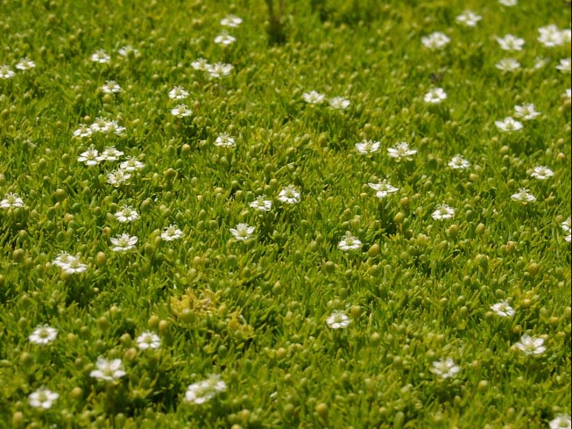 50 examples of creative photography