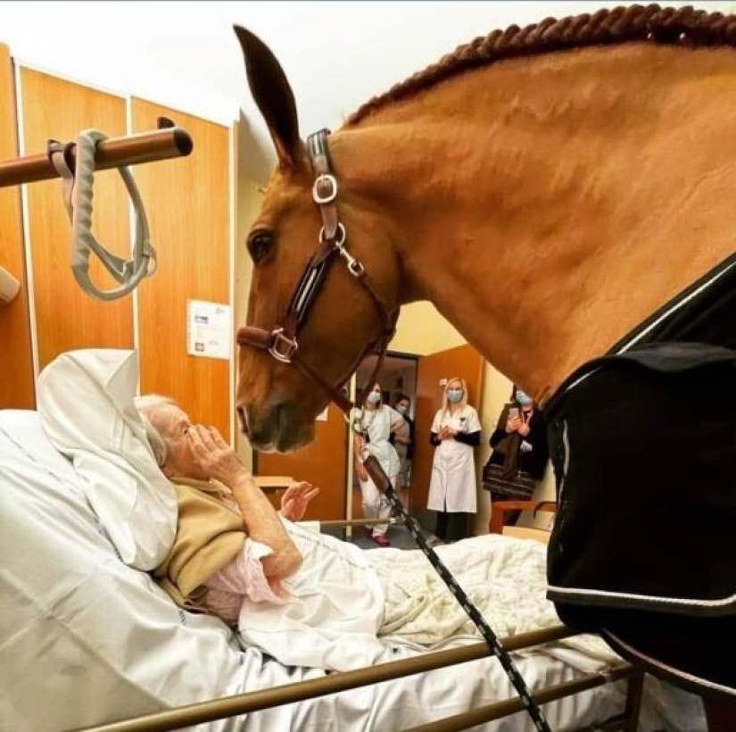 50 examples of how fascinating, unusual and diverse our world is