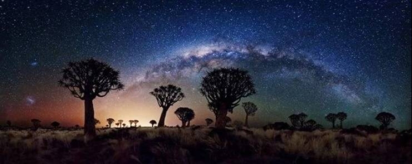 50 examples of how fascinating, unusual and diverse our world is