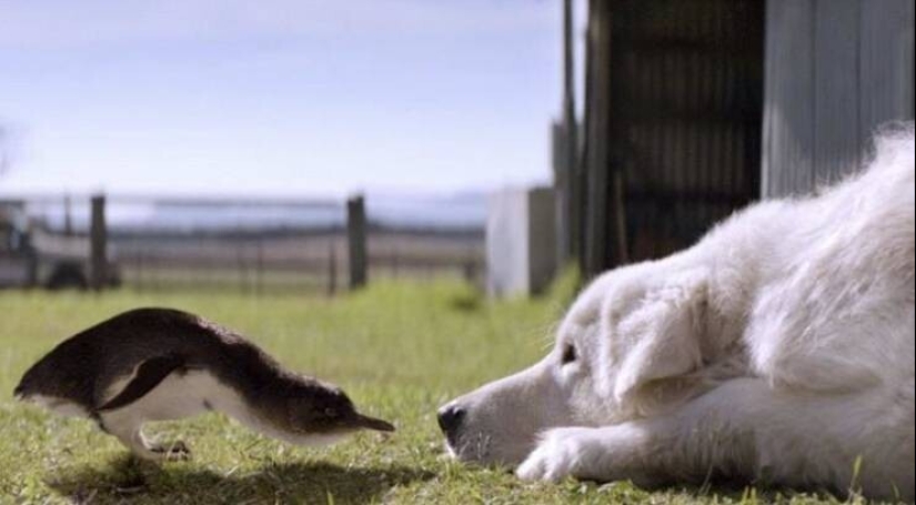50 examples of how fascinating, unusual and diverse our world is