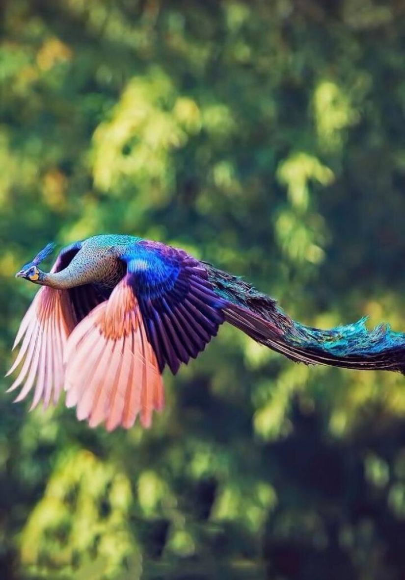 50 examples of how fascinating, unusual and diverse our world is