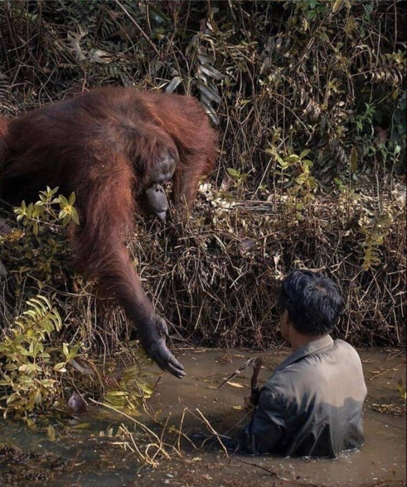 50 examples of how fascinating, unusual and diverse our world is