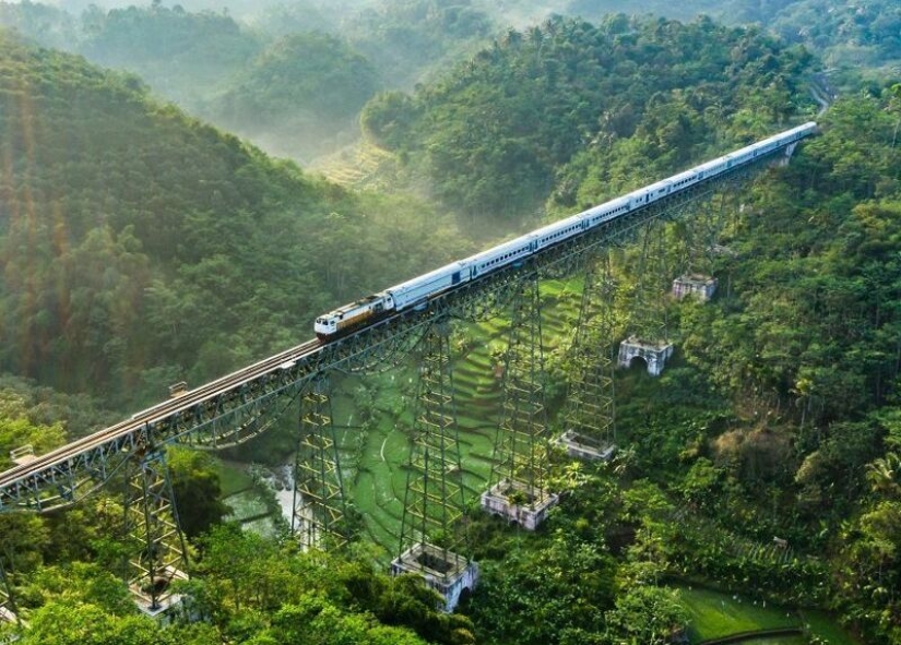 50 fascinating aerial contest #Aerial2019