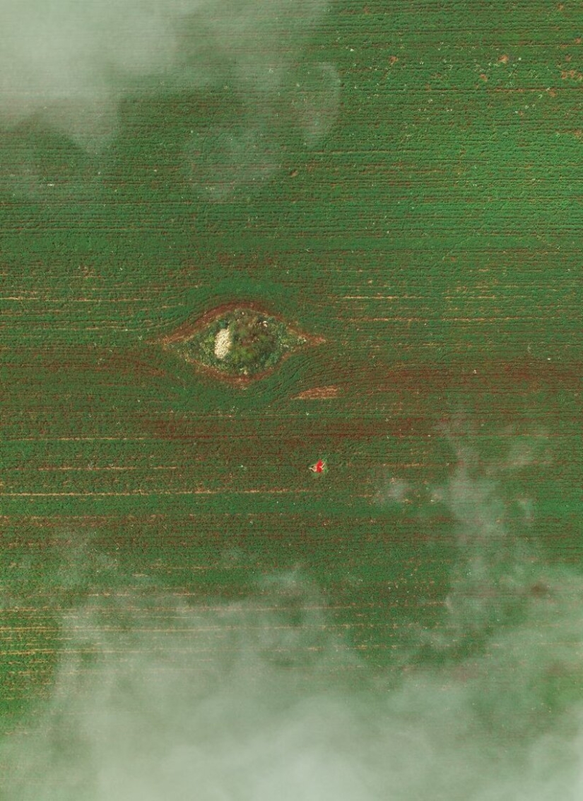 50 fascinating aerial contest #Aerial2019