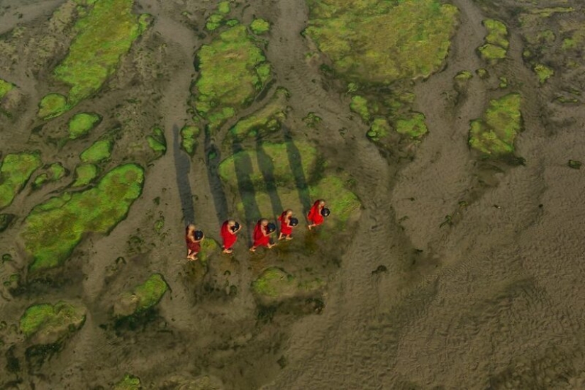 50 fascinating aerial contest #Aerial2019