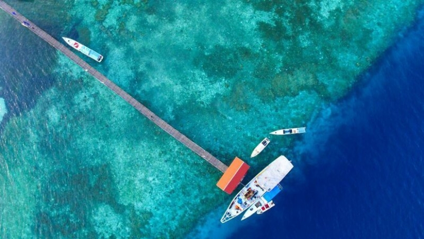 50 fascinating aerial contest #Aerial2019