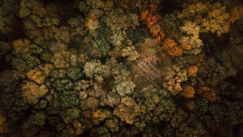 50 fascinating aerial contest #Aerial2019