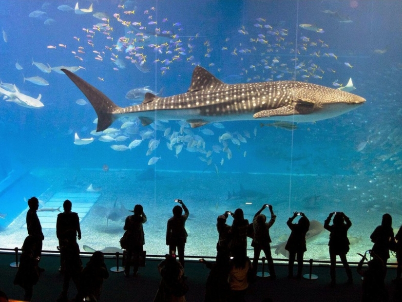 50 fotos de Dubai, el más loco de la ciudad en la tierra