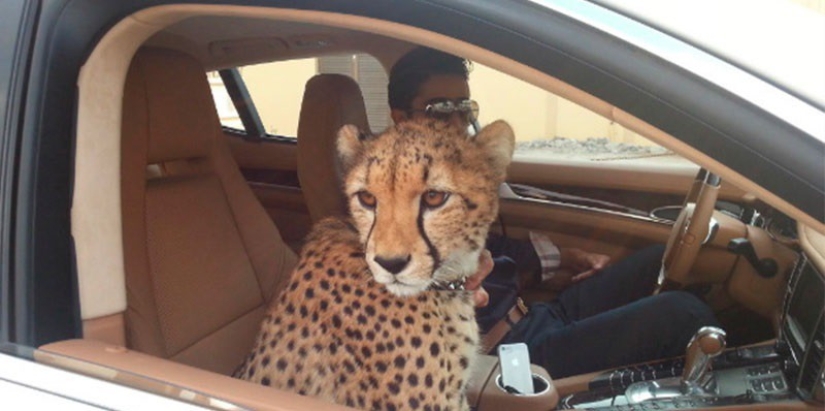 50 photos of Dubai, the most insane city on earth