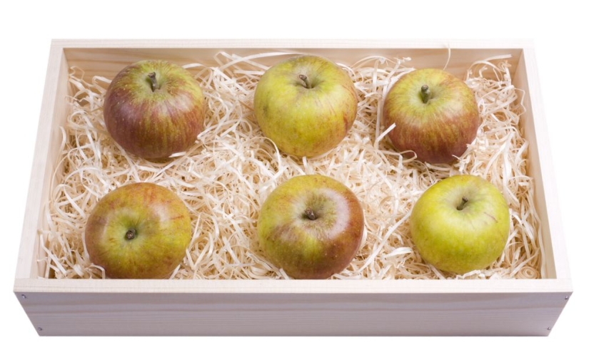 6 ancient ways to preserve apples until spring – proven for centuries
