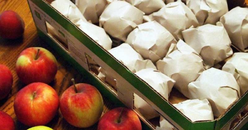 6 ancient ways to preserve apples until spring – proven for centuries