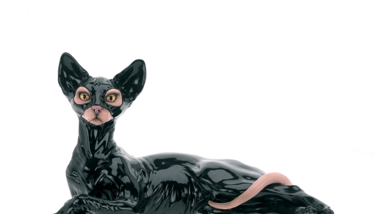 6 animales cuya vida sexual le parecerá familiar a una persona