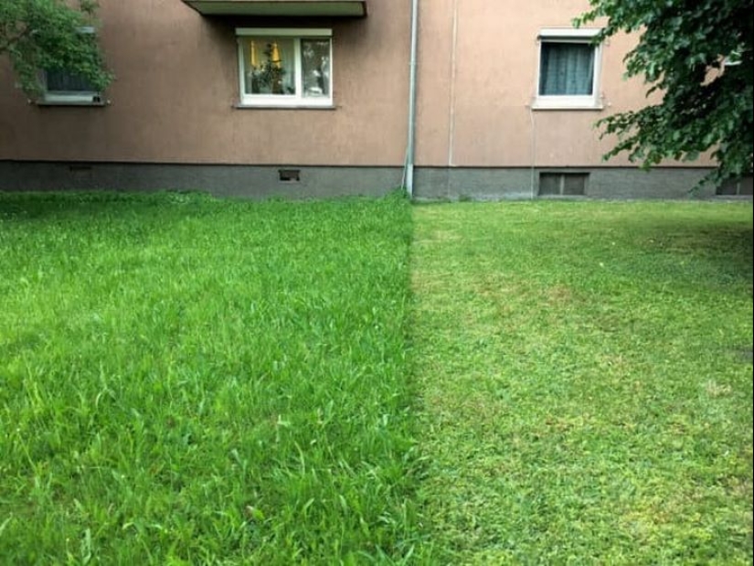 6 verdadero alemán cualidades que irritan nuestro pueblo