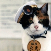 7 animals that have achieved more in life than you 7 animals that have achieved more in life than you