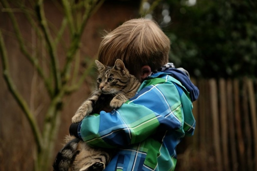 7 facts about the benefits of Pets for human health 7 facts about the benefits of Pets for human health