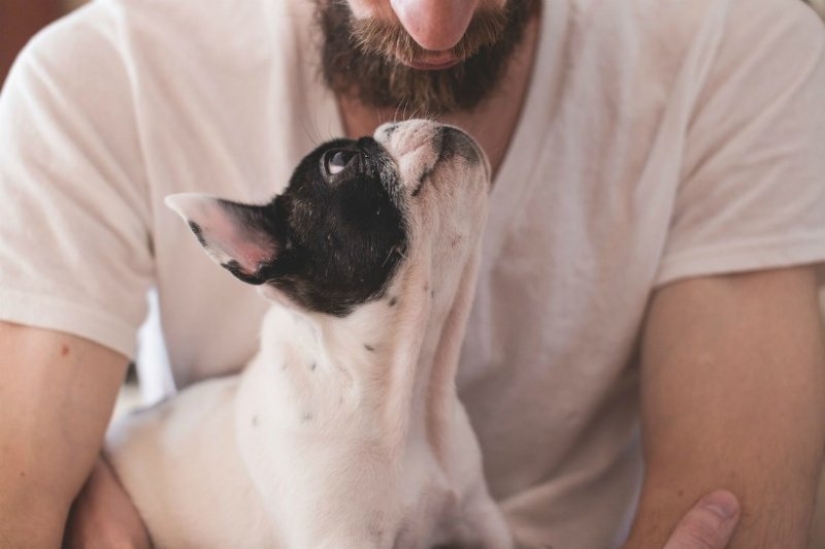 7 facts about the benefits of Pets for human health 7 facts about the benefits of Pets for human health