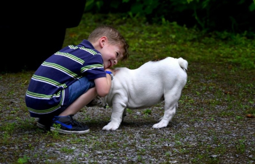 7 facts about the benefits of Pets for human health 7 facts about the benefits of Pets for human health