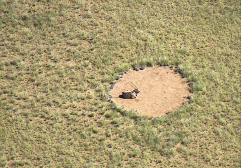 7 of the most bizarre natural phenomena that look like sorcery