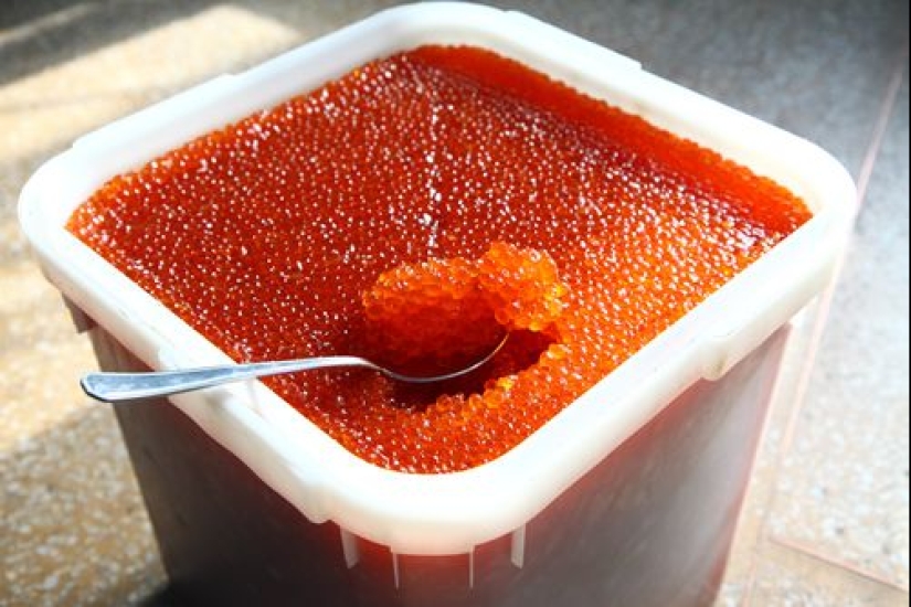 7 reglas de la elección de caviar rojo para la mesa de Navidad 7 reglas de la elección de caviar rojo para la mesa de Navidad