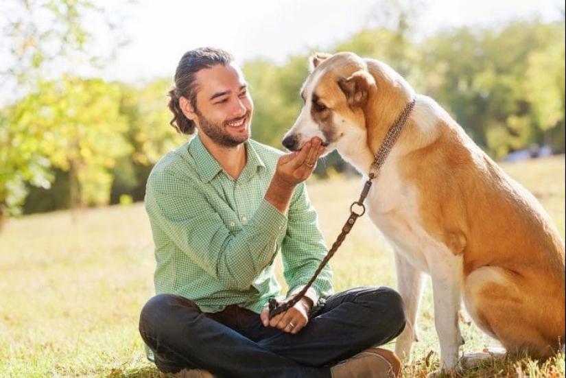 7 rules by which a dog chooses its owner when living in a family 7 rules by which a dog chooses its owner when living in a family