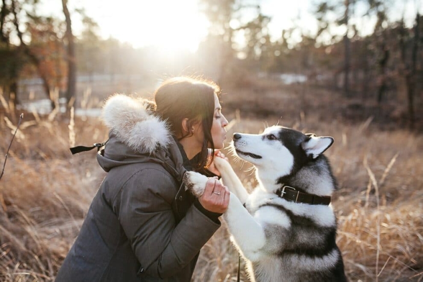 7 rules by which a dog chooses its owner when living in a family 7 rules by which a dog chooses its owner when living in a family