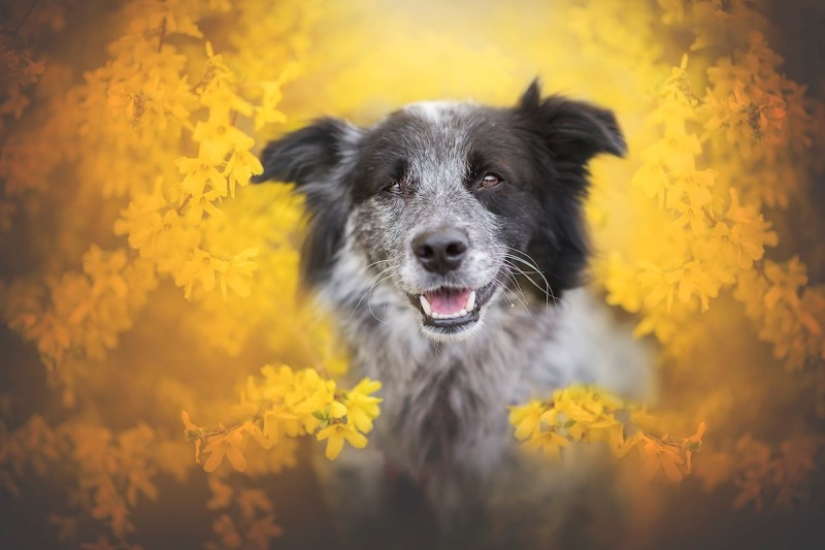 7 trucos de vida que te permitirán capturar el "alma" de cualquier animal en la foto 7 trucos de vida que te permitirán capturar el "alma" de cualquier animal en la foto