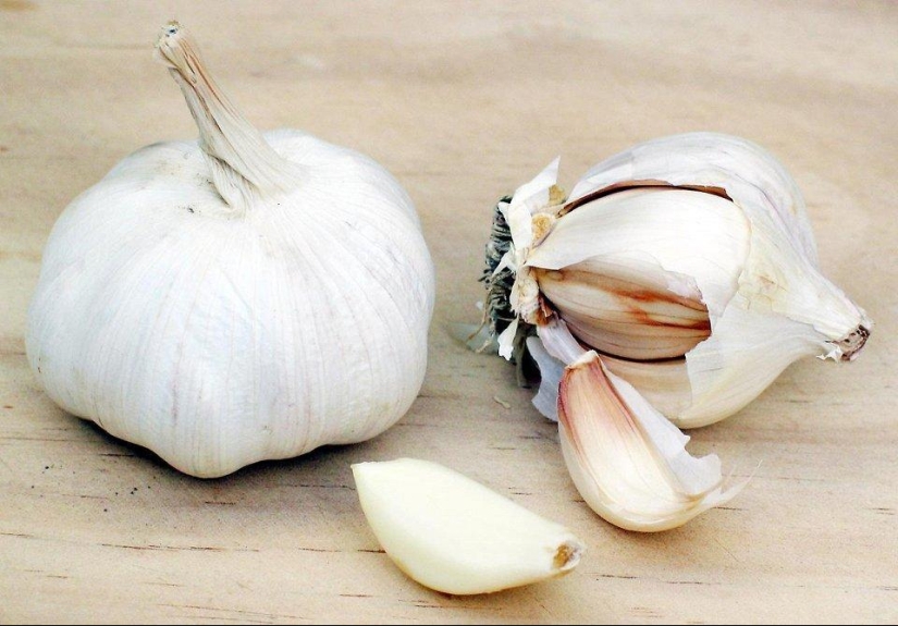 8 ingredientes más populares de la cocina italiana