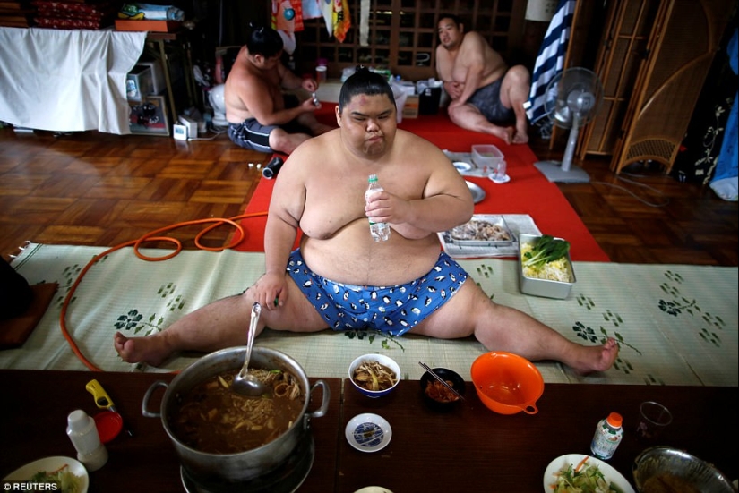 8000 calories a day and oxygen masks - how sumo wrestlers live