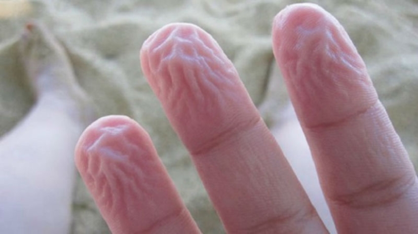 9 cosas extrañas que son los mecanismos protectores de nuestro cuerpo 9 cosas extrañas que son los mecanismos protectores de nuestro cuerpo