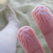 9 cosas extrañas que son los mecanismos protectores de nuestro cuerpo 9 cosas extrañas que son los mecanismos protectores de nuestro cuerpo