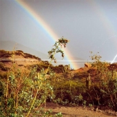 9 incredible moments caught in the frame