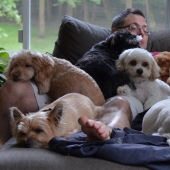 9 scientifically proven reasons to get a dog 9 scientifically proven reasons to get a dog
