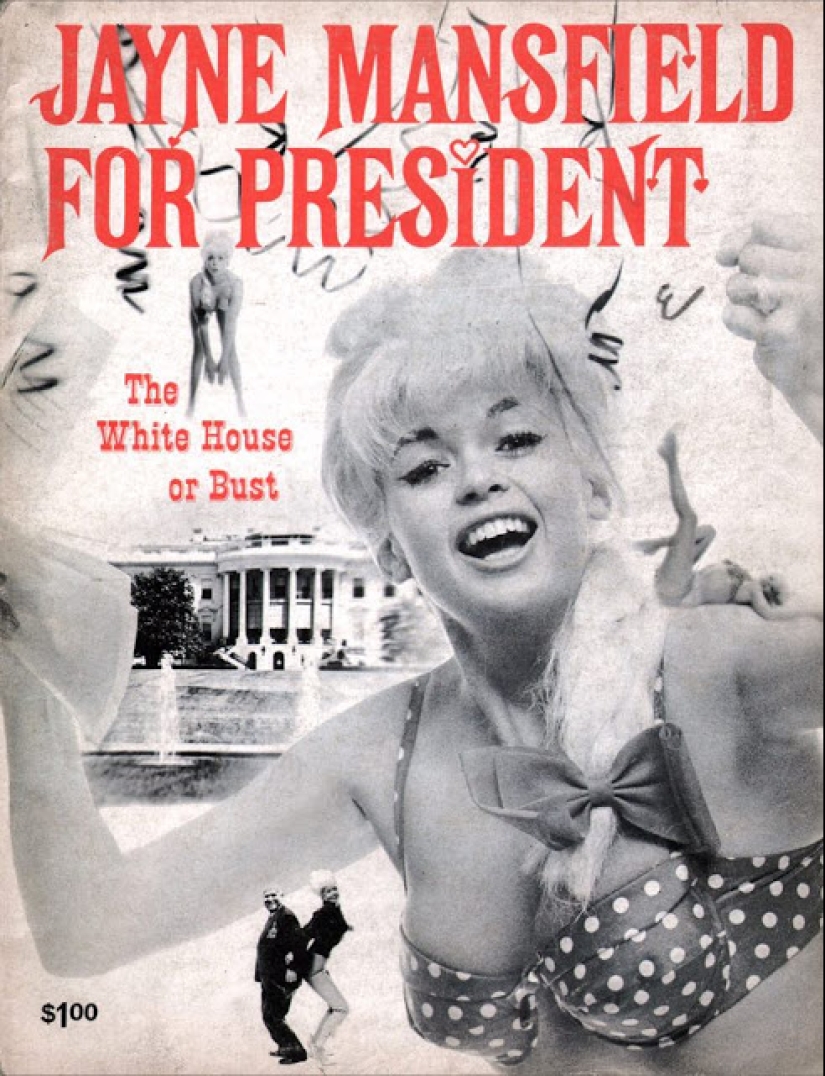 A buxom sex bomb for president! The PR stunt that won America over