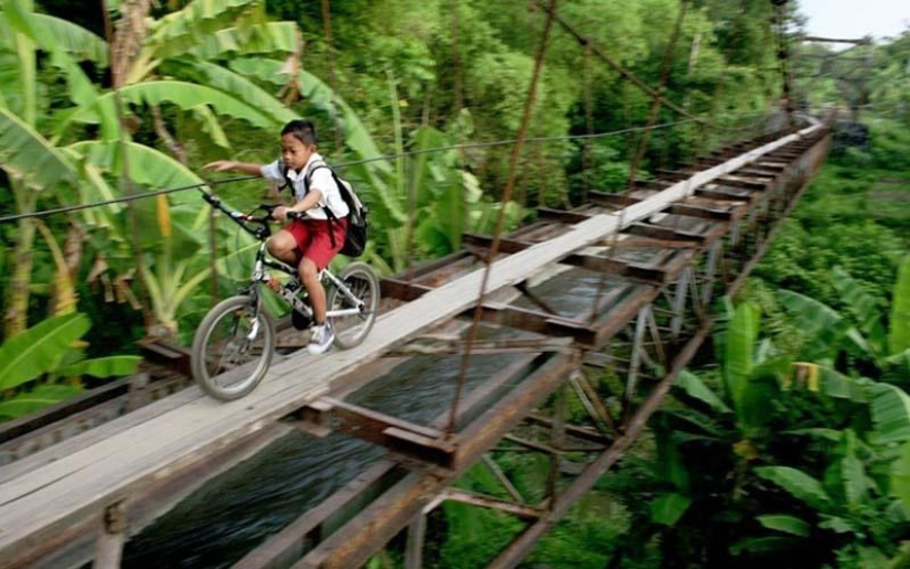 A dangerous road to school
