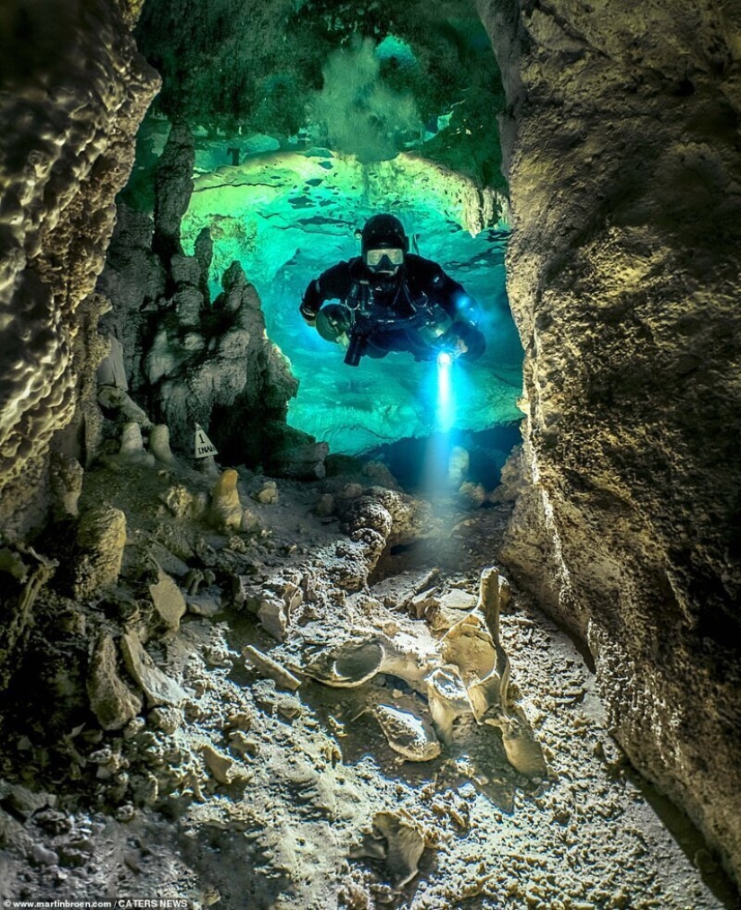 A diver risks his life making stunning images of underwater caves in Mexico A diver risks his life making stunning images of underwater caves in Mexico
