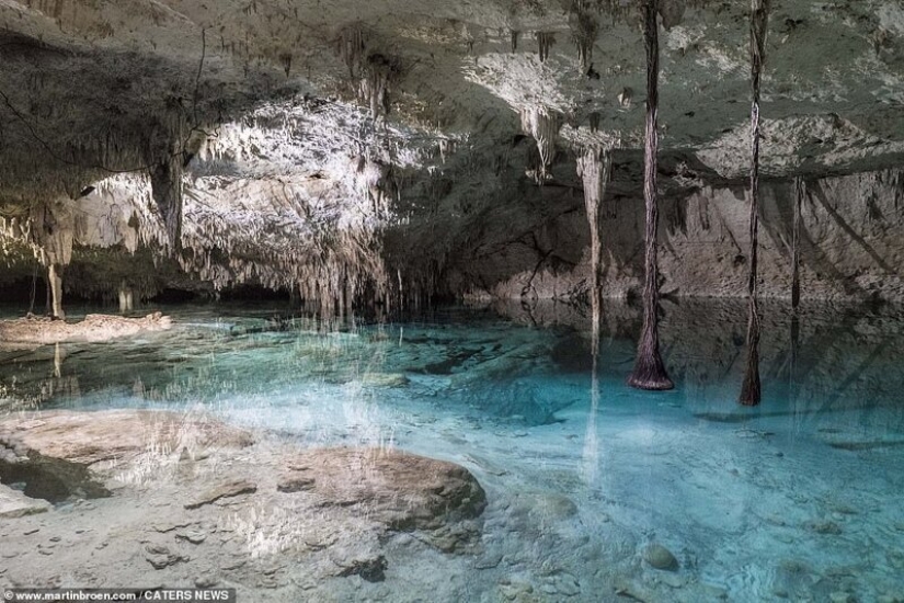 A diver risks his life making stunning images of underwater caves in Mexico A diver risks his life making stunning images of underwater caves in Mexico