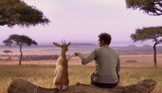 A friend among strangers: 8 real stories of people who managed to survive in the wild