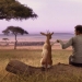 A friend among strangers: 8 real stories of people who managed to survive in the wild A friend among strangers: 8 real stories of people who managed to survive in the wild