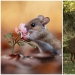 A miracle of nature: amazing pictures of wild animals in the forests of Austria A miracle of nature: amazing pictures of wild animals in the forests of Austria