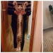A new trend in social networks — toffee cats A new trend in social networks — toffee cats