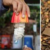 A partir de las vainas del árbol a la barra de chocolate terminado: ¿cómo craftsy de chocolate