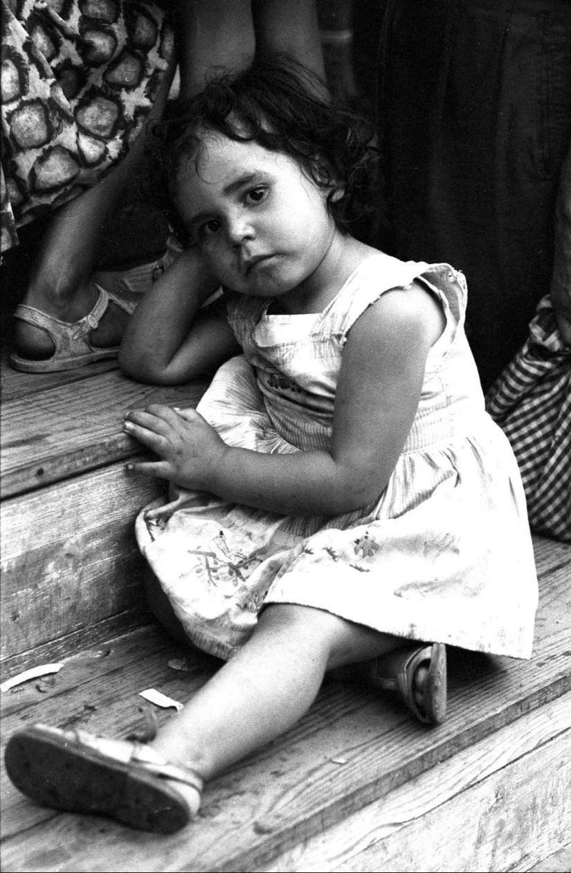 A tourist bought an envelope at a flea market, where he found negatives from an unknown genius