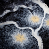 A través de los ojos de los vikingos