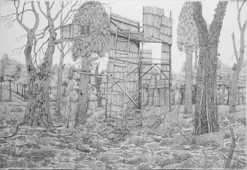 A whole world on paper: a British woman creates incredible landscapes with an ordinary pen